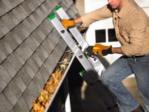 gutter cleaning 